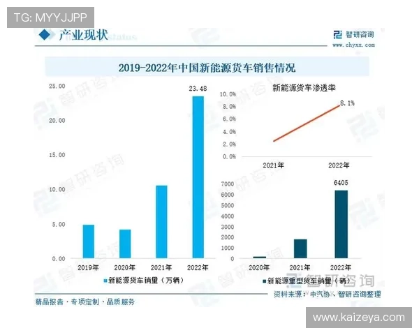 勒沃库森赞助商开云体彩官网合作背后的战略布局与未来发展方向